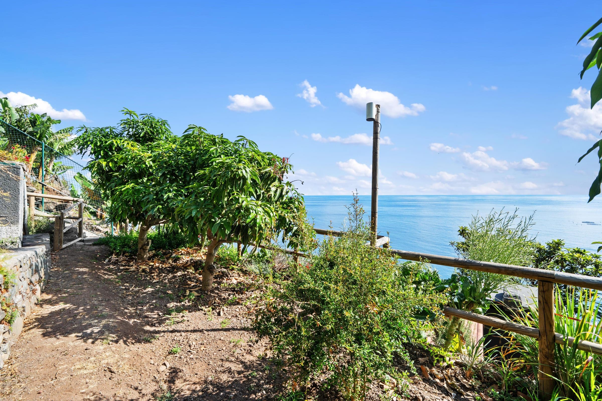 A garden path beneath fruit trees, open sea just past the fence.